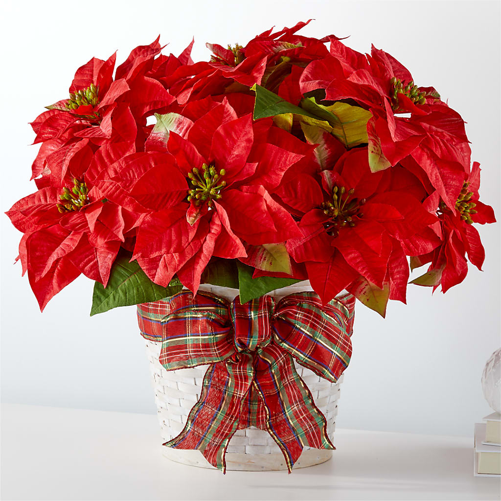 Happiest Holidays Poinsettia – LESSLY'S FLOWERS, Columbia Heights MN