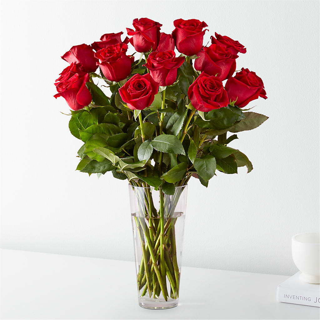 Long Stem Red Rose Bouquet – LESSLY'S FLOWERS, Columbia Heights MN