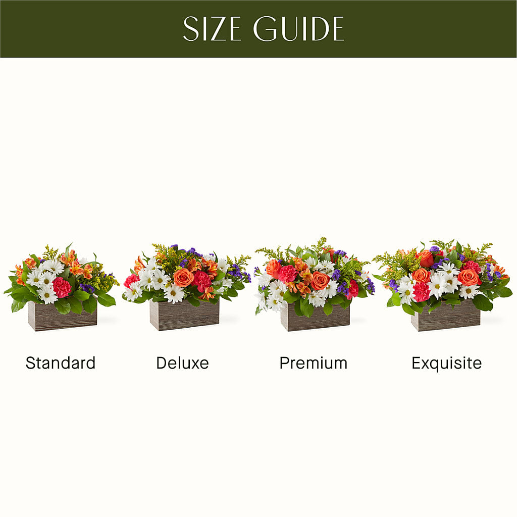 Oopsie Daisy Box Bouquet – LESSLY'S FLOWERS, Columbia Heights MN
