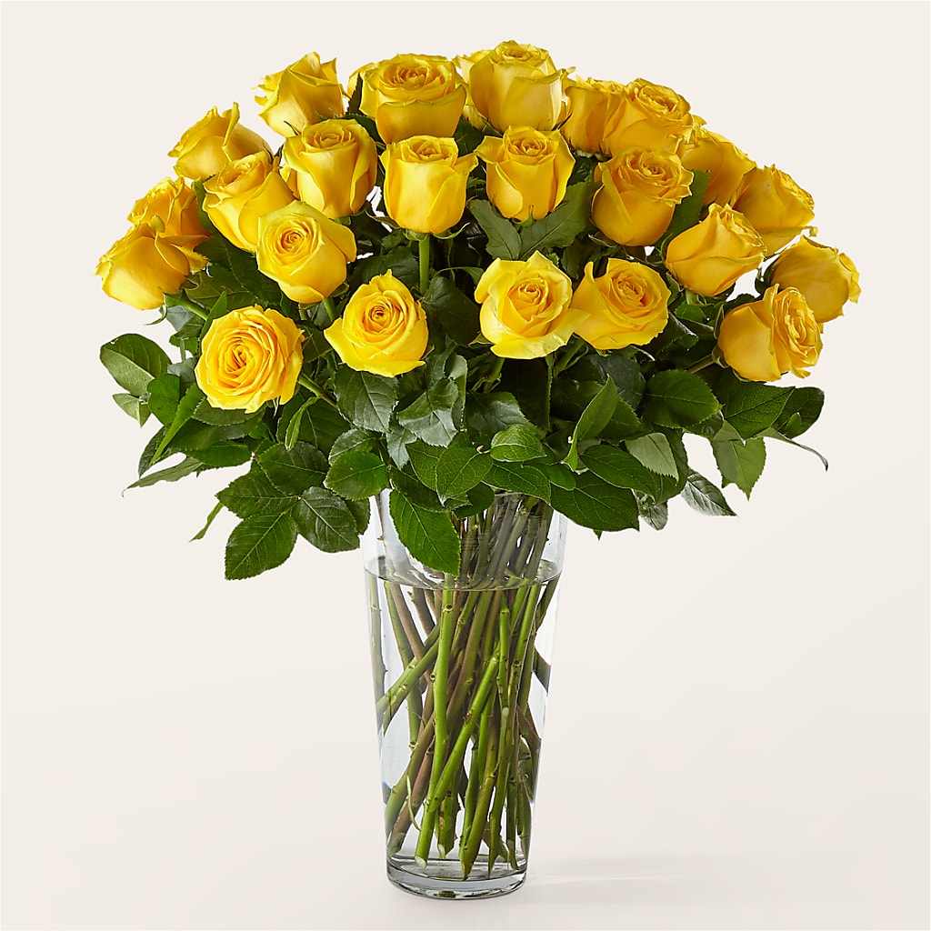Long Stem Yellow Rose Bouquet – LESSLY'S FLOWERS, Columbia Heights MN