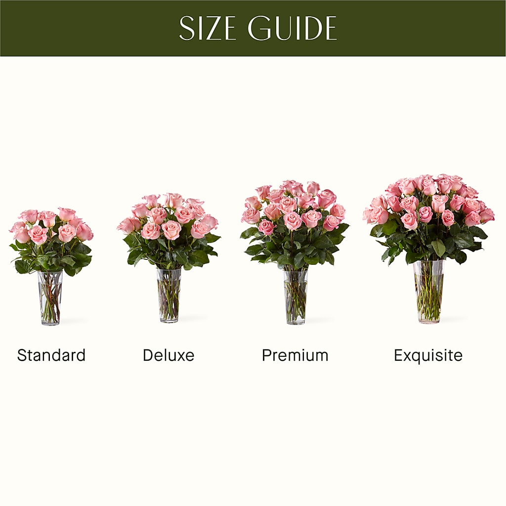 Long Stem Pink Rose Bouquet – LESSLY'S FLOWERS, Columbia Heights MN