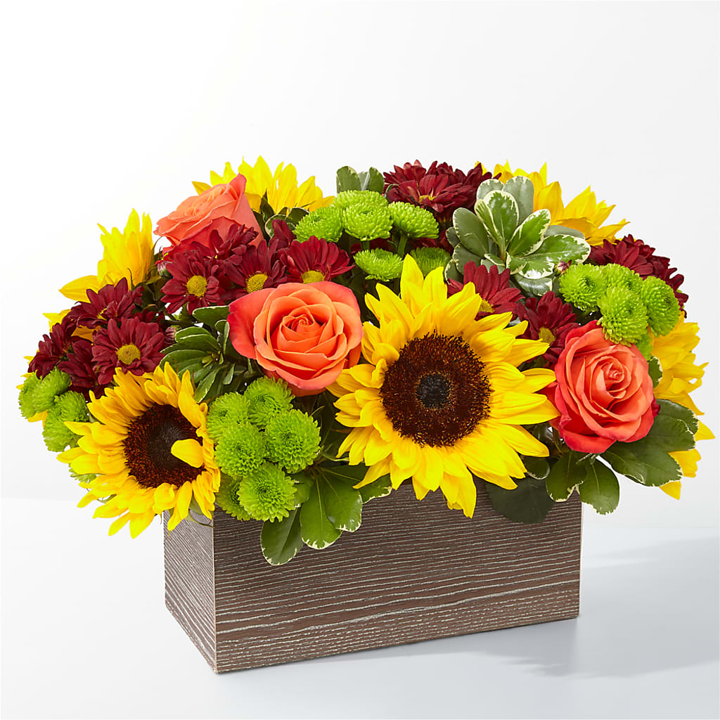 Happy Harvest Garden – LESSLY'S FLOWERS, Columbia Heights MN
