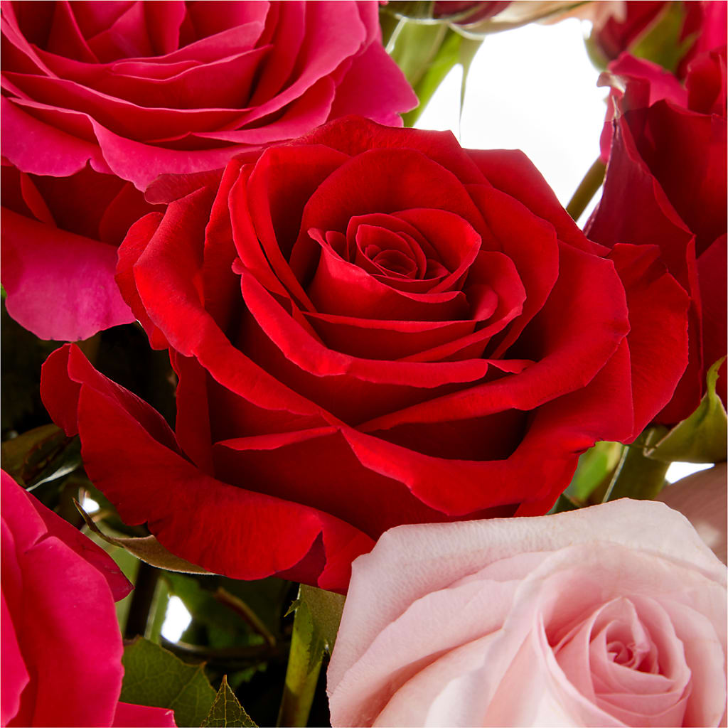 Love Notes Rose Bouquet – LESSLY'S FLOWERS, Columbia Heights MN