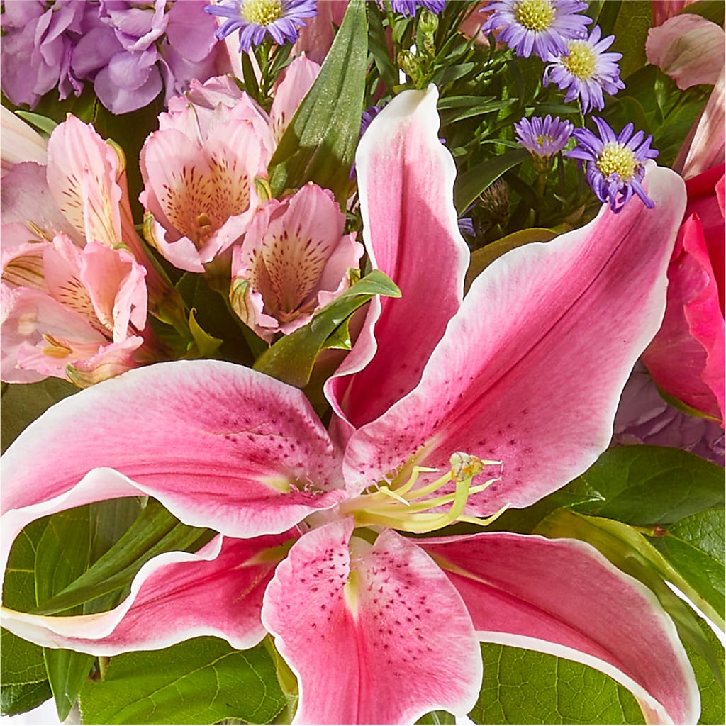 Written in the Stars Bouquet – LESSLY'S FLOWERS, Columbia Heights MN