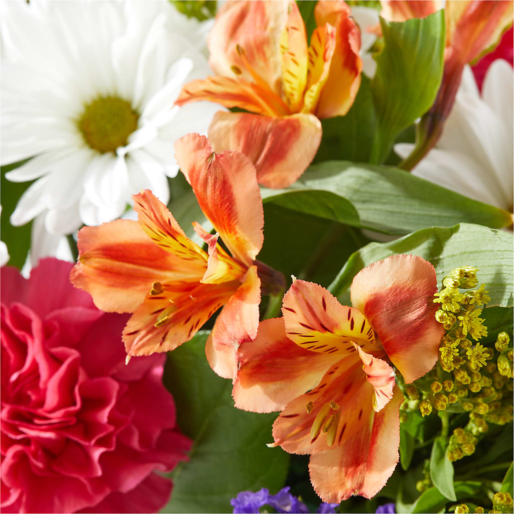 Oopsie Daisy Box Bouquet – LESSLY'S FLOWERS, Columbia Heights MN
