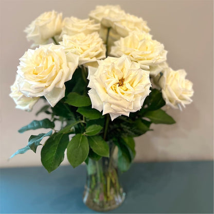 Long Stem Yellow Rose Bouquet – LESSLY'S FLOWERS, Columbia Heights MN