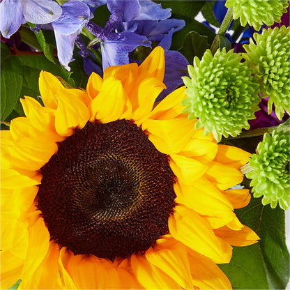 Catching Rays Bouquet – LESSLY'S FLOWERS, Columbia Heights MN
