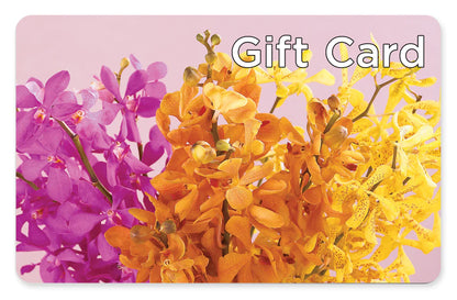 Gift Card – LESSLY'S FLOWERS, Columbia Heights MN