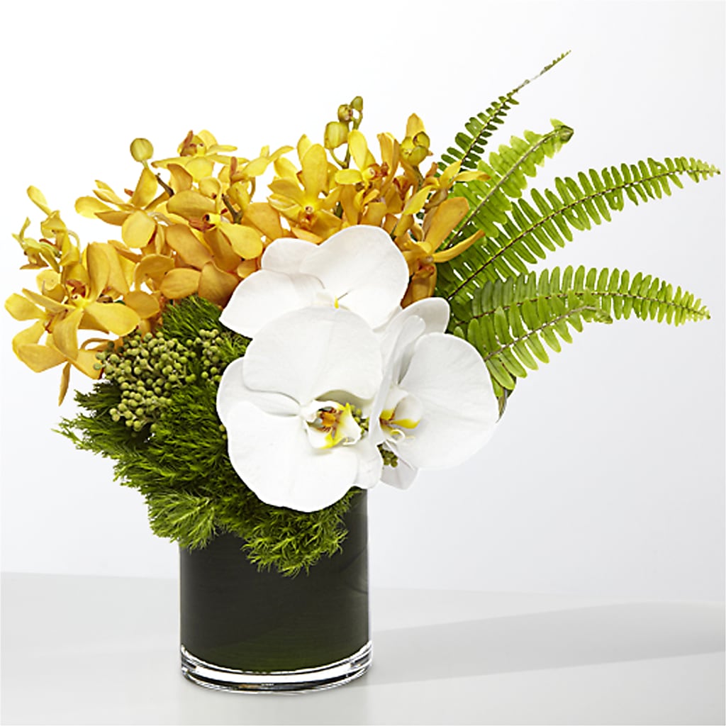 The Tropics – LESSLY'S FLOWERS, Columbia Heights MN