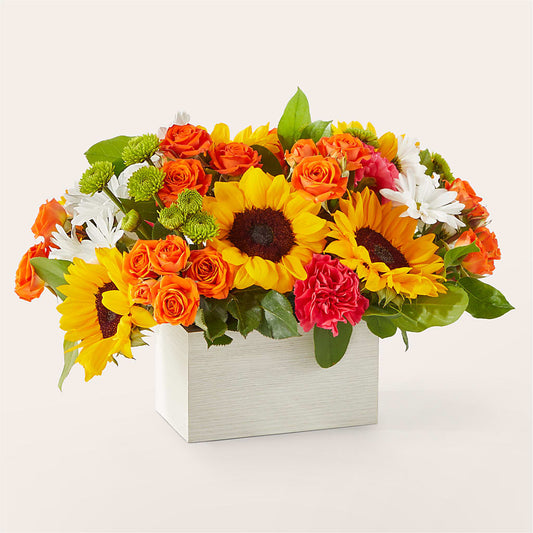 Sun-drenched Blooms Box Bouquet – LESSLY'S FLOWERS, Columbia Heights MN