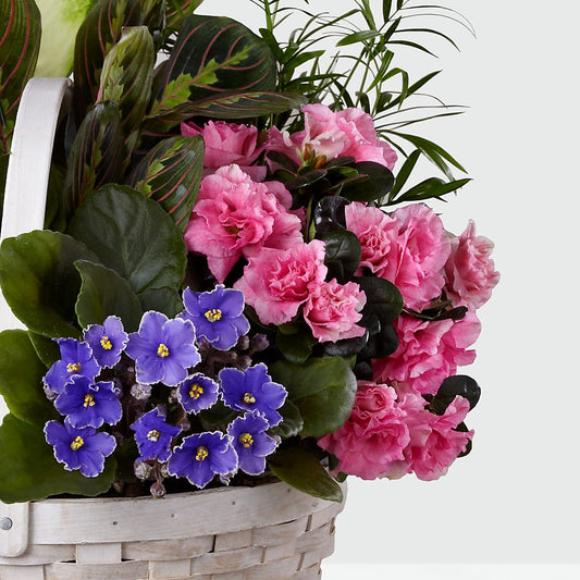 Peaceful Garden Planter – LESSLY'S FLOWERS, Columbia Heights MN