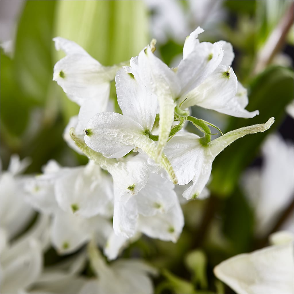 Classic Ivory – A Florist Original – LESSLY'S FLOWERS, Columbia Heights MN