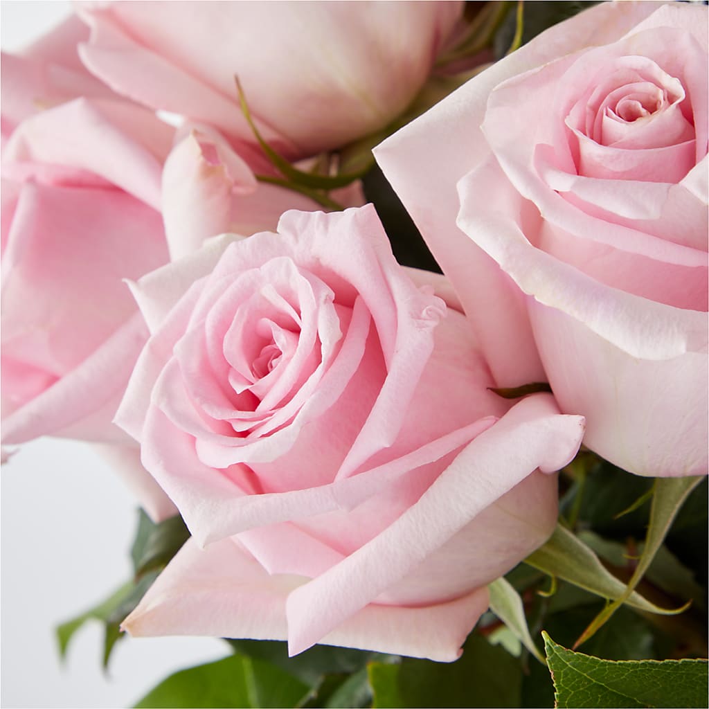 Picture Perfect Pink Rose Bouquet – LESSLY'S FLOWERS, Columbia Heights MN
