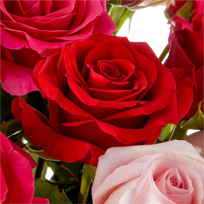 Love Notes Rose Bouquet – LESSLY'S FLOWERS, Columbia Heights MN
