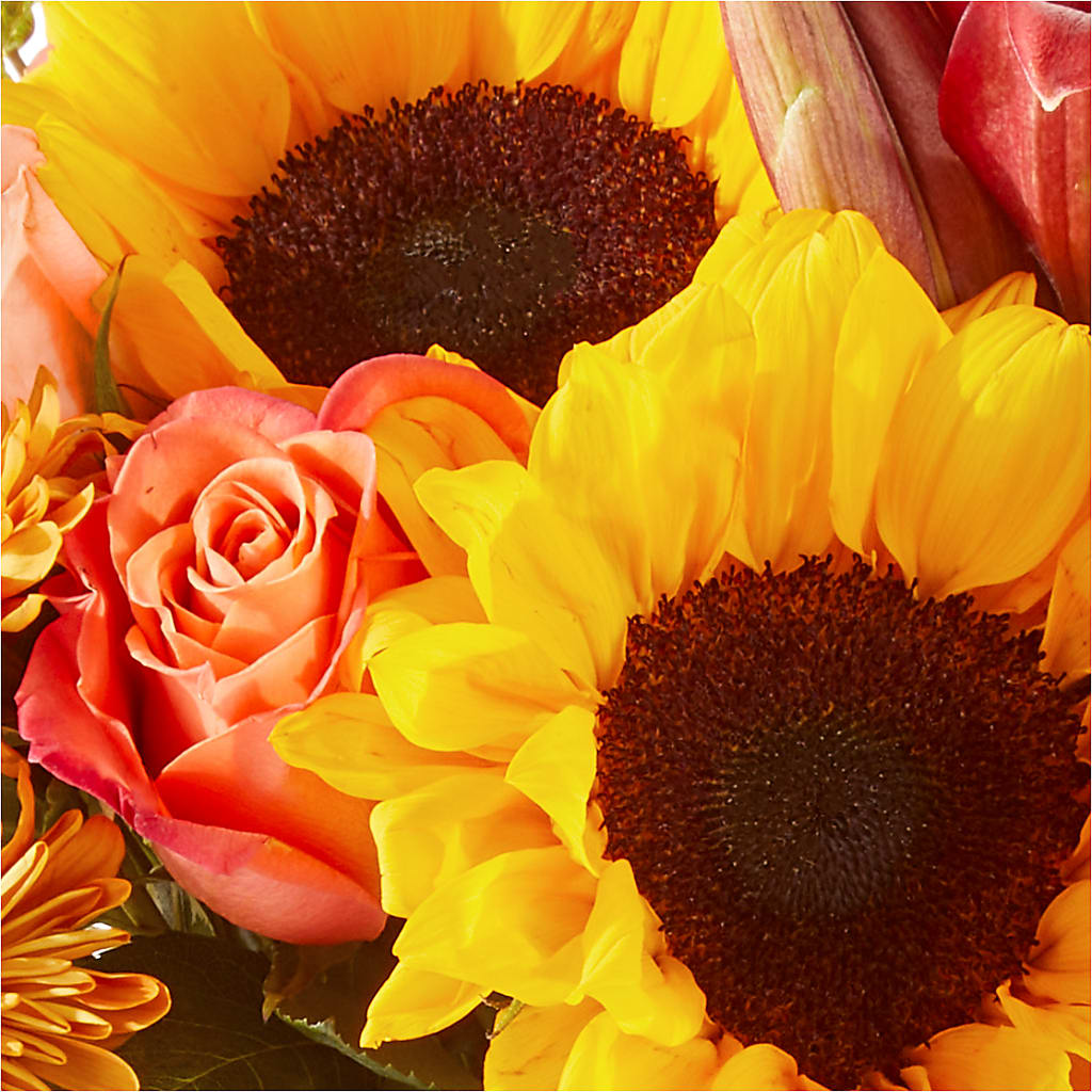 Acorn Lane Bouquet – LESSLY'S FLOWERS, Columbia Heights MN