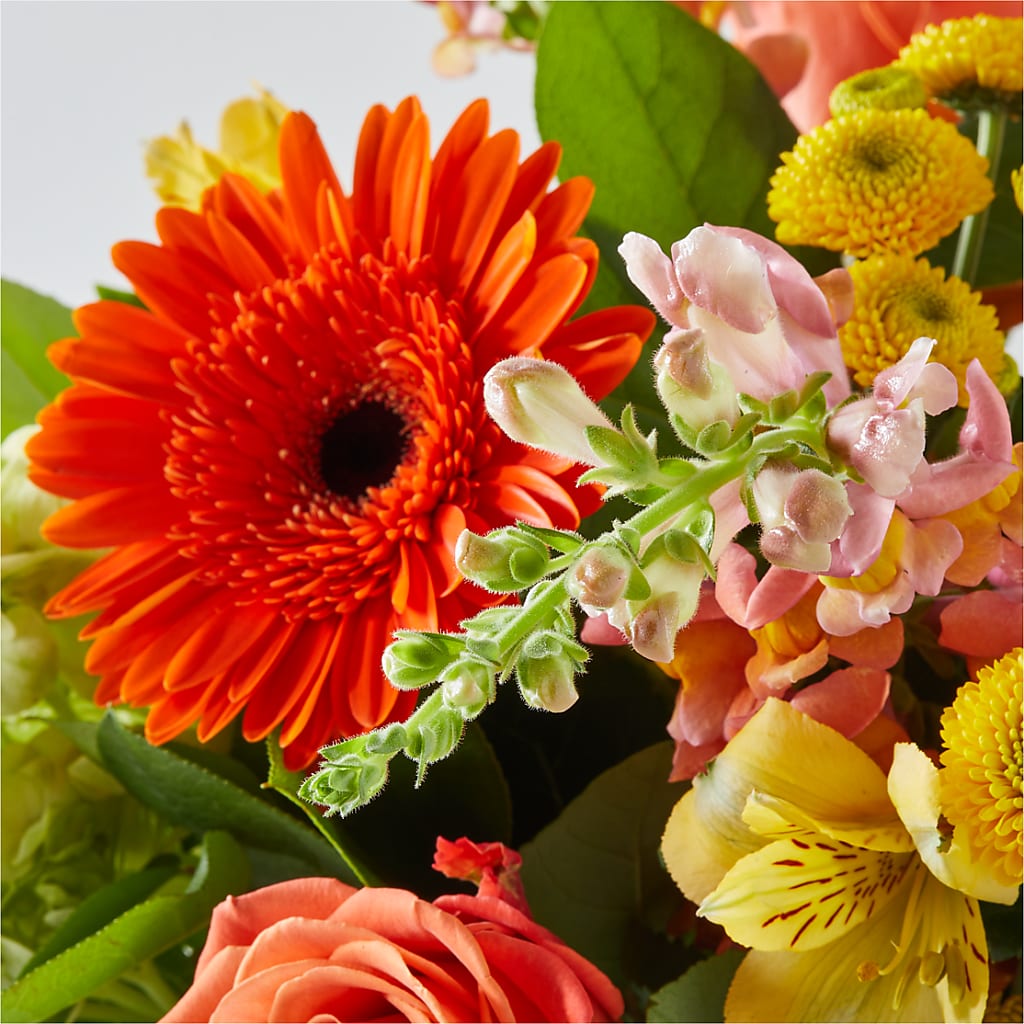 Autumn Sunshine Bouquet – LESSLY'S FLOWERS, Columbia Heights MN