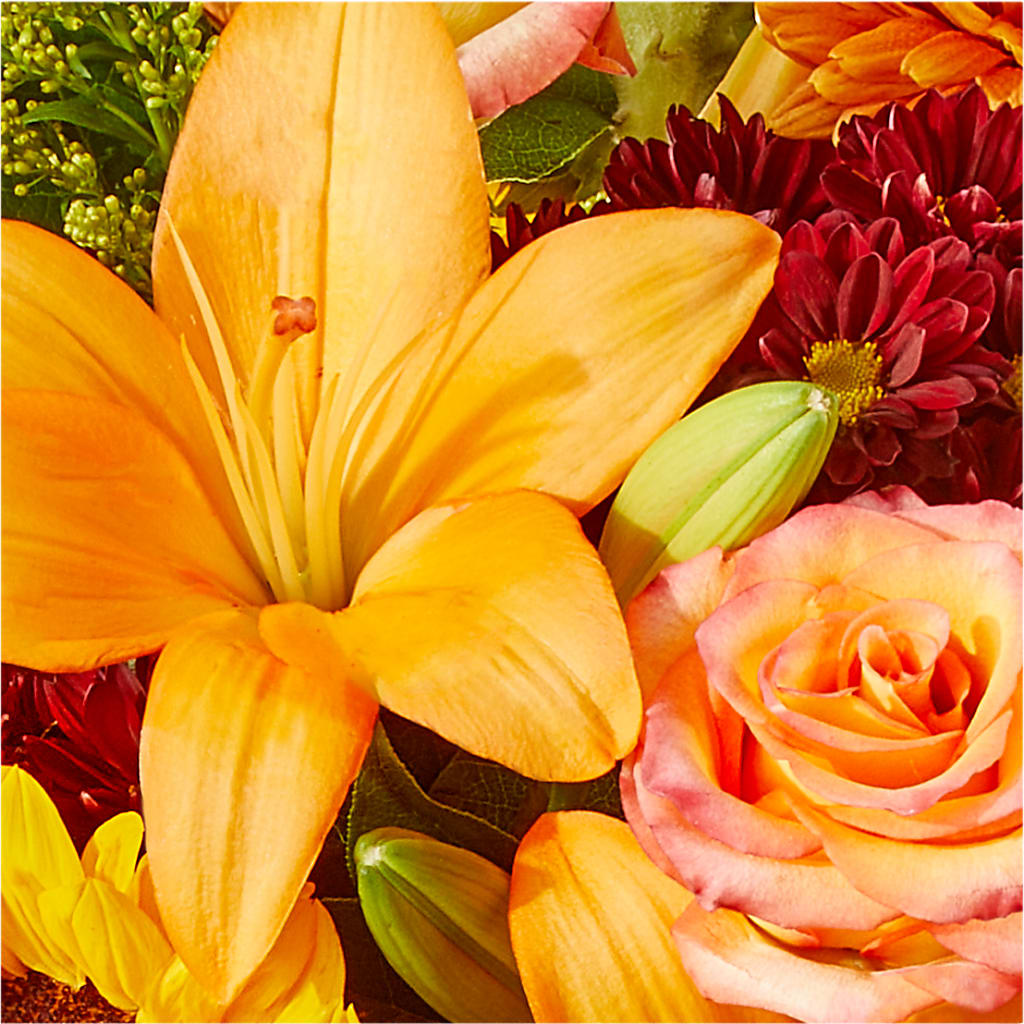 Seasons Change Bouquet – LESSLY'S FLOWERS, Columbia Heights MN