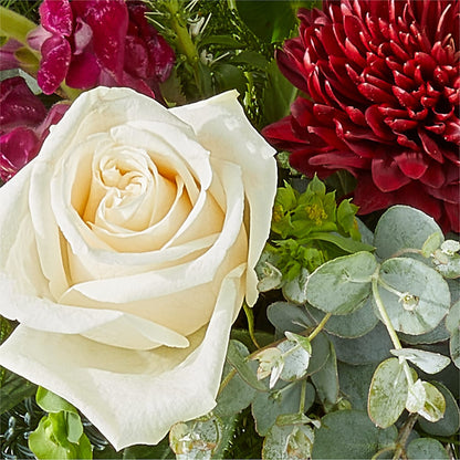Cranberry Fizz Bouquet – LESSLY'S FLOWERS, Columbia Heights MN