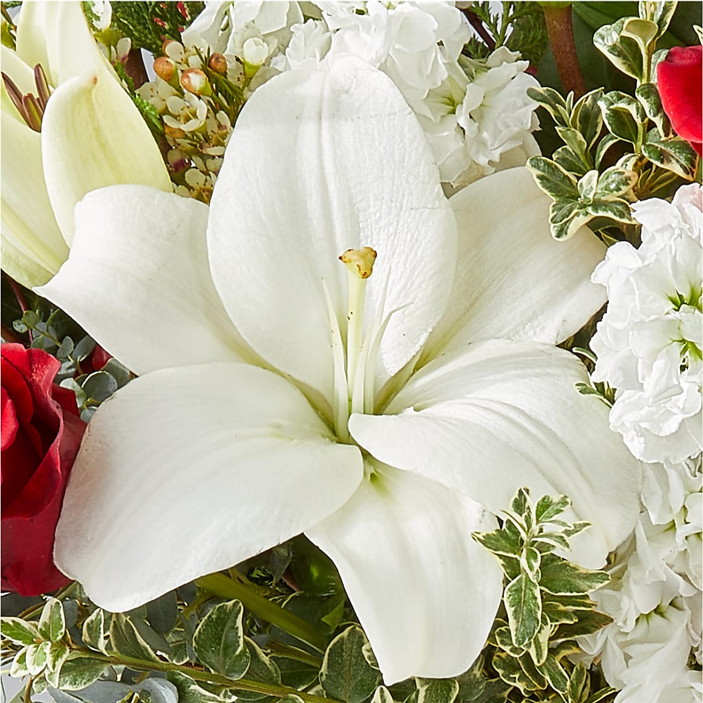 Twinkle Lights Bouquet – LESSLY'S FLOWERS, Columbia Heights MN