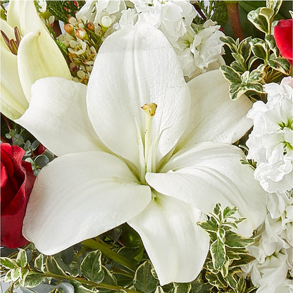 Twinkle Lights Bouquet – LESSLY'S FLOWERS, Columbia Heights MN