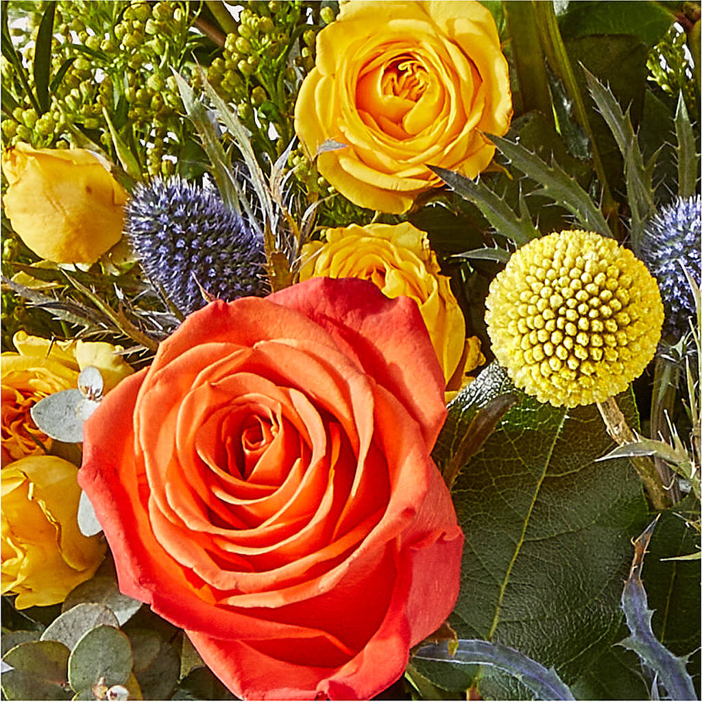 Disco Bouquet – LESSLY'S FLOWERS, Columbia Heights MN
