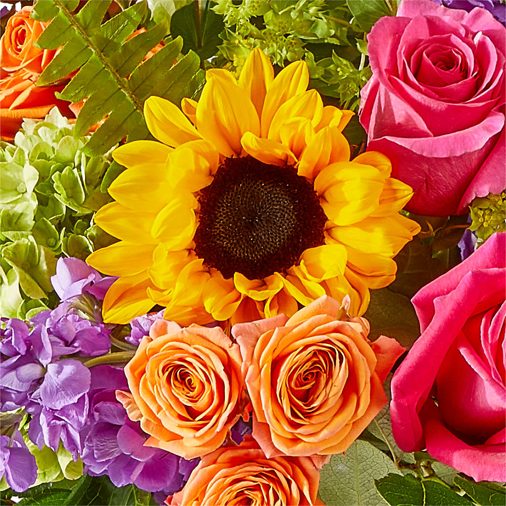 Vibrant Greetings Bouquet – LESSLY'S FLOWERS, Columbia Heights MN
