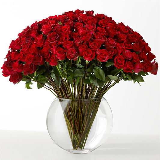 The Idealist – LESSLY'S FLOWERS, Columbia Heights MN