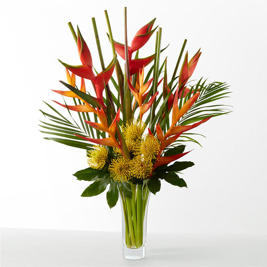 The Drama – LESSLY'S FLOWERS, Columbia Heights MN