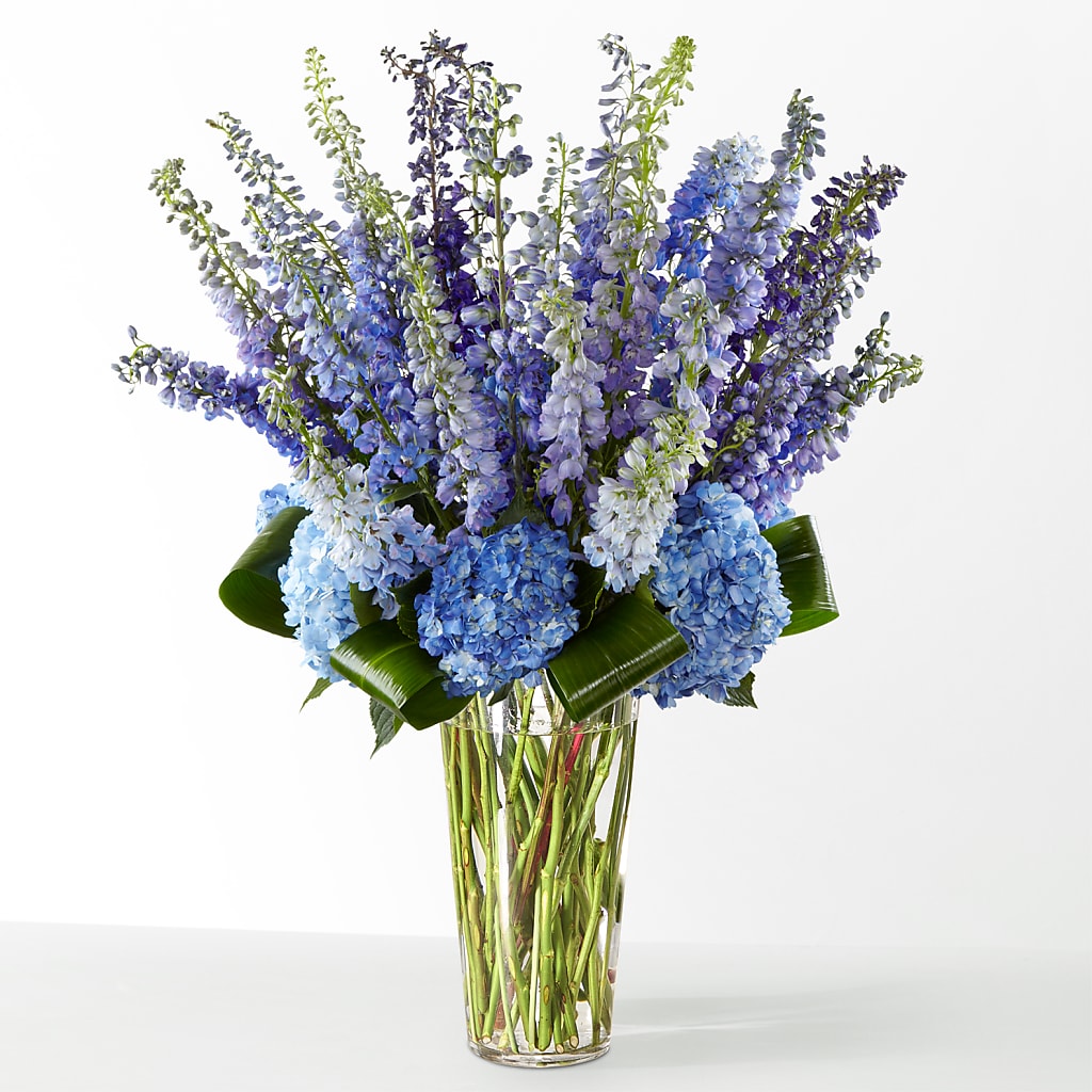 The Editorial – LESSLY'S FLOWERS, Columbia Heights MN