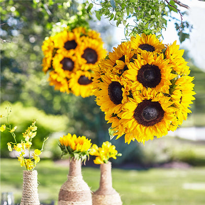 Sublime Garden Hanging Arrangement – LESSLY'S FLOWERS, Columbia Heights MN